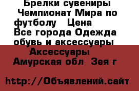 Брелки-сувениры Чемпионат Мира по футболу › Цена ­ 399 - Все города Одежда, обувь и аксессуары » Аксессуары   . Амурская обл.,Зея г.